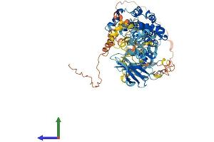 Protein Structure (PS) image for Ribosomal Protein S6 Kinase, 90kDa, Polypeptide 6 (RPS6KA6) (AA 1-764) protein (His tag) (ABIN7558254)