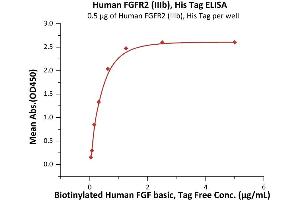 Immobilized Human FGFR2 (IIIb), His Tag (ABIN6973067) at 5 μg/mL (100 μL/well) can bind Biotinylated Human FGF basic, Tag Free with a linear range of 0.