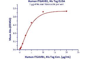 Measured by its binding ability in a functional ELISA. (ITGAV/ITGB1 Protein (AA 31-992) (His tag))