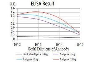 Black line: Control Antigen (100 ng),Purple line: Antigen (10 ng), Blue line: Antigen (50 ng), Red line:Antigen (100 ng) (SERPINA1 antibody  (AA 23-237))