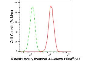 Flow cytometric analysis of kinesin family member 4A expression in HAP-1 cells using kinesin family member 4A antibody (ABIN7799207), 1:2,000). (Recombinant KIF4A antibody)