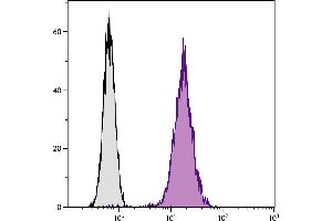 Chinese hamster ovary cell line CHO-K1 and BALB/cAnN mouse B lymphocyte cell line A20 were stained with Hamster Anti-Mouse CD81-FITC. (CD81 antibody  (FITC))