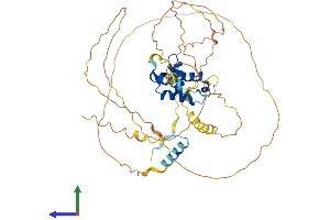 AlphaFold protein structure predicition of Human Recombinant FOXN3 Protein, UniprotID O00409