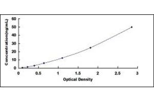 Typical standard curve (CHRNA5 ELISA Kit)