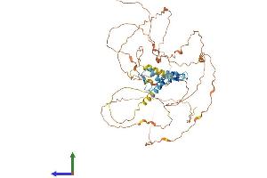 AlphaFold protein structure predicition of Mouse Recombinant Egr1 Protein, UniprotID P08046