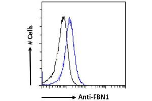 ABIN570798 Flow cytometric analysis of paraformaldehyde fixed Jurkat cells (blue line), permeabilized with 0. (Fibrillin 1 antibody  (Internal Region))