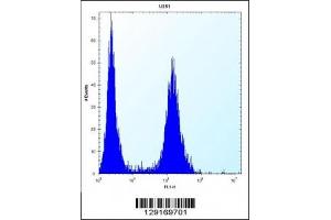 ID1 antibody flow cytometric analysis of U251 cells (right histogram) compared to a negative control (left histogram).