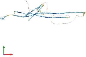 AlphaFold protein structure predicition of Mouse Recombinant Rnf40 Protein, UniprotID Q3U319 (RNF40 Protein (AA 1-1001) (His tag))