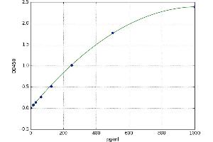 CD22 Molecule (CD22) ELISA Kit