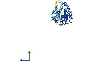 AlphaFold protein structure predicition of Human Recombinant SDR42E2 Protein, UniprotID A6NKP2 (SDR42E2 Protein (AA 1-422) (His tag))