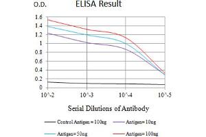 Black line: Control Antigen (100 ng),Purple line: Antigen (10 ng), Blue line: Antigen (50 ng), Red line:Antigen (100 ng) (BTLA antibody  (AA 31-157))
