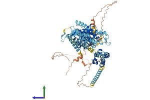 Protein Structure (PS) image for Polycystic Kidney Disease 2-Like 1 (PKD2L1) (AA 1-805) protein (His tag) (ABIN7554970)