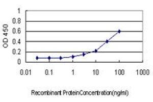 Detection limit for recombinant GST tagged KLK10 is approximately 1ng/ml as a capture antibody. (Kallikrein 10 antibody  (AA 167-276))