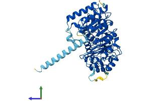AlphaFold protein structure predicition of Human Recombinant LRRC14B Protein, UniprotID A6NHZ5 (LRRC14B Protein (AA 1-514) (His tag))