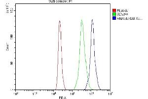 Flow Cytometry analysis of HL-60 cells using anti-RNASEH2B antibody (ABIN7601572). (RNASEH2B antibody  (AA 39-260))