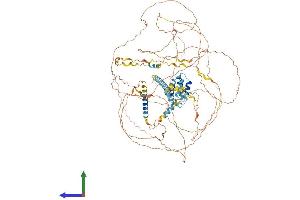 AlphaFold protein structure predicition of Mouse Recombinant Srrm1 Protein, UniprotID Q52KI8