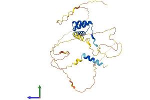 AlphaFold protein structure predicition of Human Recombinant ALX1 Protein, UniprotID Q15699
