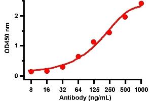 ELISA Validation with SARS-CoV-2 (COVID-19) Spike RBD Recombinant ProteinAntibodies: SARS-CoV-2 (COVID-19) Spike RBD antibody, ABIN6952968 (1 μg/mL). (SARS-CoV-2 Spike antibody  (RBD))