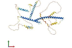 AlphaFold protein structure predicition of Human Recombinant TFEB Protein, UniprotID P19484 (TFEB Protein (AA 1-476) (His tag))