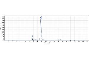 The purity of Anti-TrkA / NTRK1 Reference Antibody (GBR 900) is 97.