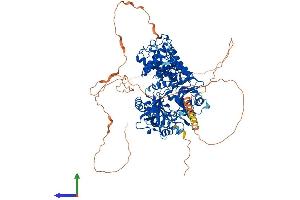 Protein Structure (PS) image for Ligase I, DNA, ATP-Dependent (LIG1) (AA 1-919) protein (His tag) (ABIN7547098)