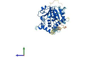 AlphaFold protein structure predicition of Human Recombinant ST6GALNAC6 Protein, UniprotID Q969X2