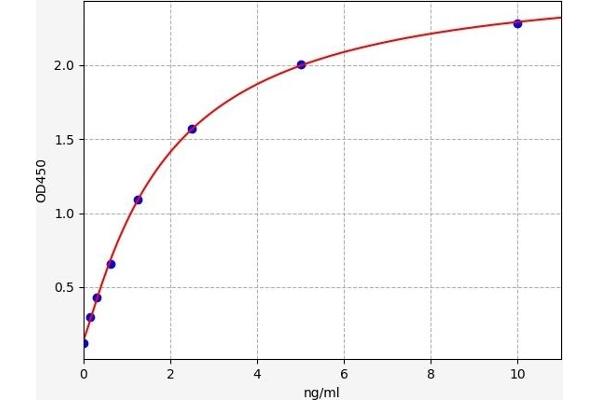 CPB1 ELISA Kit