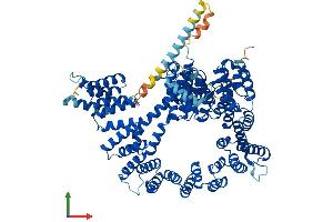 AlphaFold protein structure predicition of Human Recombinant NAA15 Protein, UniprotID Q9BXJ9