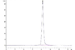 The purity of Biotinylated Human LILRA4 is greater than 95 % as determined by SEC-HPLC. (LILRA4 Protein (AA 24-446) (His-Avi Tag,Biotin))