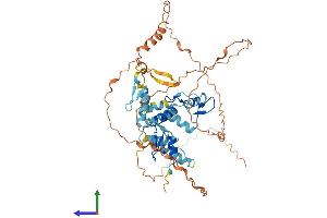 AlphaFold protein structure predicition of Human Recombinant ZSCAN5A Protein, UniprotID Q9BUG6 (ZSCAN5A Protein (AA 1-496) (His tag))