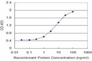 Detection limit for recombinant GST tagged BID is approximately 0. (BID antibody  (AA 1-195))