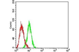 Flow cytometric analysis of HL-60 cells using CD113 mouse mAb (green) and negative control (red). (nectin-3 antibody  (AA 282-404))