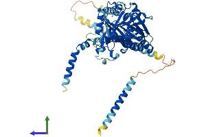 AlphaFold protein structure predicition of Mouse Recombinant Csgalnact1 Protein, UniprotID Q8BJQ9