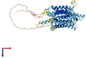 SLC45A2 Protein (AA 1-530) (His tag)