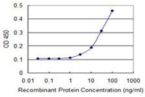 Detection limit for recombinant GST tagged MSH2 is 1 ng/ml as a capture antibody. (MSH2 antibody  (AA 835-934))