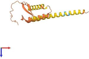 AlphaFold protein structure predicition of Human Recombinant LINC01559 Protein, UniprotID Q495D7