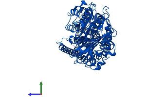 Protein Structure (PS) image for Arachidonate 5-Lipoxygenase (ALOX5) (AA 1-674) protein (His tag) (ABIN7563330)