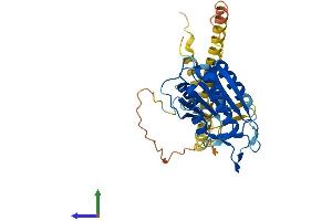 AlphaFold protein structure predicition of Human Recombinant CASP12 Protein, UniprotID Q6UXS9 (Caspase 12 Protein (AA 1-341) (His tag))