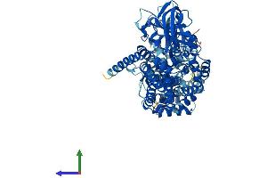 AlphaFold protein structure predicition of Human Recombinant ACAD11 Protein, UniprotID Q709F0