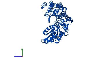 AlphaFold protein structure predicition of Mouse Recombinant Csad Protein, UniprotID Q9DBE0