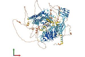AlphaFold protein structure predicition of Mouse Recombinant Sbno1 Protein, UniprotID Q689Z5 (SBNO1 Protein (AA 1-1390) (His tag))