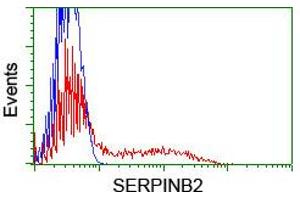 HEK293T cells transfected with either RC203139 overexpress plasmid (Red) or empty vector control plasmid (Blue) were immunostained by anti-SERPINB2 antibody (ABIN2455358), and then analyzed by flow cytometry. (SERPINB2 antibody)