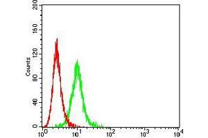 Flow cytometric analysis of K562 cells using CD104 mouse mAb (green) and negative control (red). (Integrin beta 4 antibody  (AA 29-206))