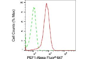 Flow cytometric analysis of PEF1 expression in Hela cells using PEF1 antibody (ABIN7799754), 1:2,000). (Recombinant PEF1 antibody)