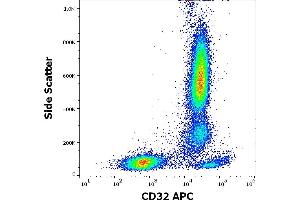 Flow cytometry surface staining pattern of human peripheral whole blood stained using anti-human CD32 (3D3) APC antibody (10 μL reagent / 100 μL of peripheral whole blood). (Fc gamma RII (CD32) antibody (APC))