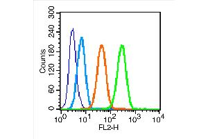 MCF7 cells were incubated in 5% BSA blocking buffer for 30 min at room temperature.