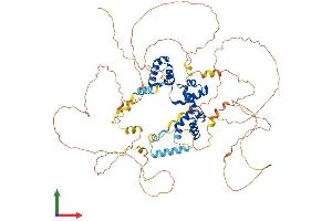 AlphaFold protein structure predicition of Mouse Recombinant Mybl2 Protein, UniprotID P48972