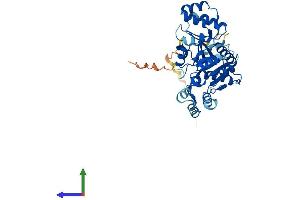 Protein Structure (PS) image for 5'-Nucleotidase, Cytosolic IA (NT5C1A) (AA 1-368) protein (His tag) (ABIN7551745)