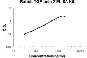 Rabbit TGF-beta 2 PicoKine ELISA Kit standard curve (TGFB2 ELISA Kit)