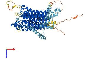 AlphaFold protein structure predicition of Mouse Recombinant Slc15a4 Protein, UniprotID Q91W98 (SLC15A4 Protein (AA 1-574) (His tag))